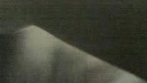 ब्लोजब कलाकार टोरी लेन पछि थिइन् र उनले ती ठूला स्तनहरू समावेश गर्न नसक्ने केही फ्रिली लेस अंडरवियर र ब्रामा ड्रेस अप गर्ने मौका छोड्ने थिएनन्। उहाँले हामीलाई दिनुभयो ...
